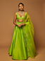 LIME GREEN EROS ORGANZA DUPATTA
