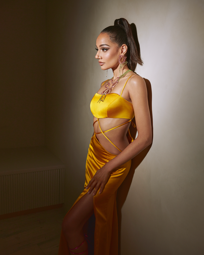 DAISY SLINKY DRESS